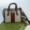 Gucci Ophidia Small GG Tote Bag G00045