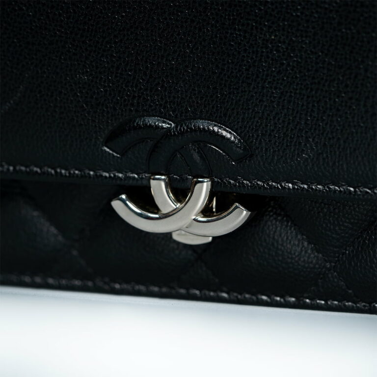 Chanel Urban Companion Wallet On Chain Bag C30