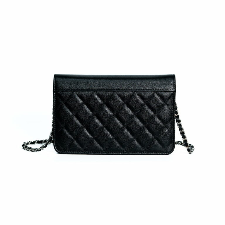 Chanel Urban Companion Wallet On Chain Bag C30
