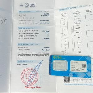 Kim cương 4.82 - 4.85 VVS1-E NDT2311307