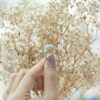 Vỏ nhẫn kim cương 750-1.60 CLA2319080 J187