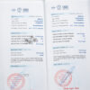 Bông tai kim cương 585 0.62C CAS2406691