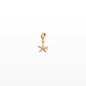 Charm Kim cương sao biển 416 TSC.CT1T12NUY