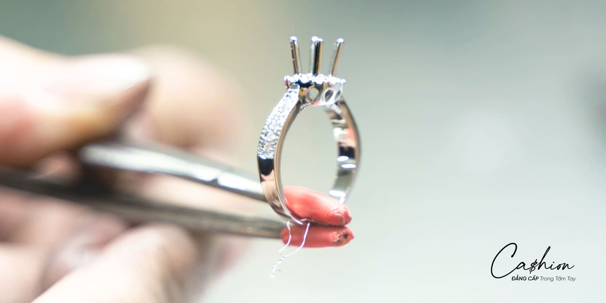 Ảnh: Quy trình chăm sóc tiêu chuẩn tại Cashion Care