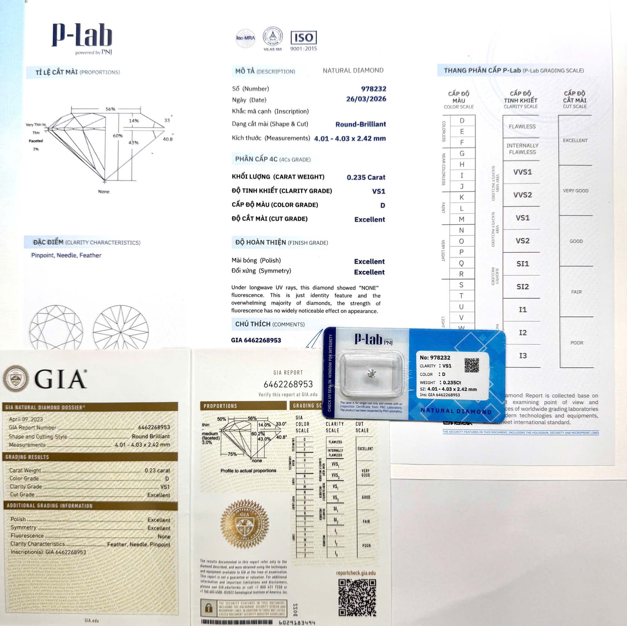 Kim cương viên 4.01 - 4.03 P-LAB, GIA DDD4016556 - Ảnh 3