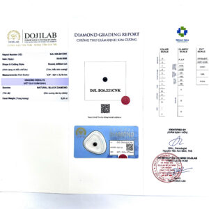 DJL D26.221CNK