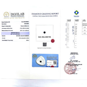 DJL D26.228CNK