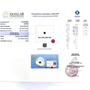 DJL D26.229CNK